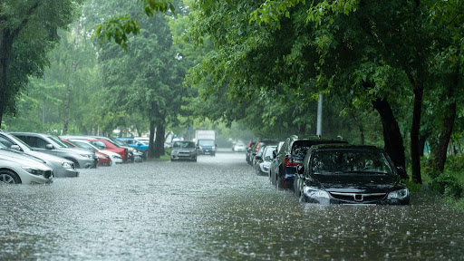 Flood Season Quote Blog Image