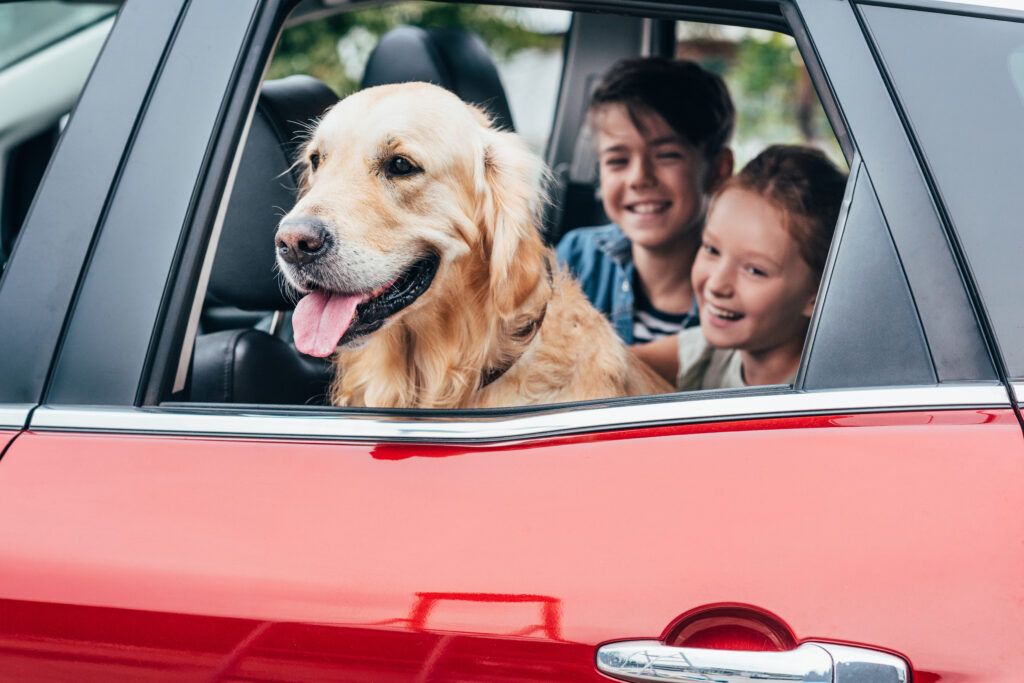 Kids in the car with dog- Insurance Tips for Families blog featured image